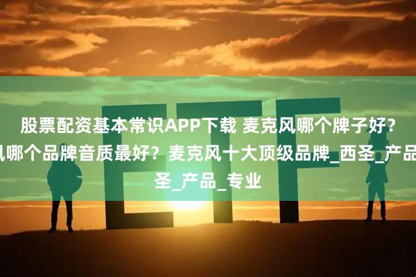 股票配资基本常识APP下载 麦克风哪个牌子好？麦克风哪个品牌音质最好？麦克风十大顶级品牌_西圣_产品_专业